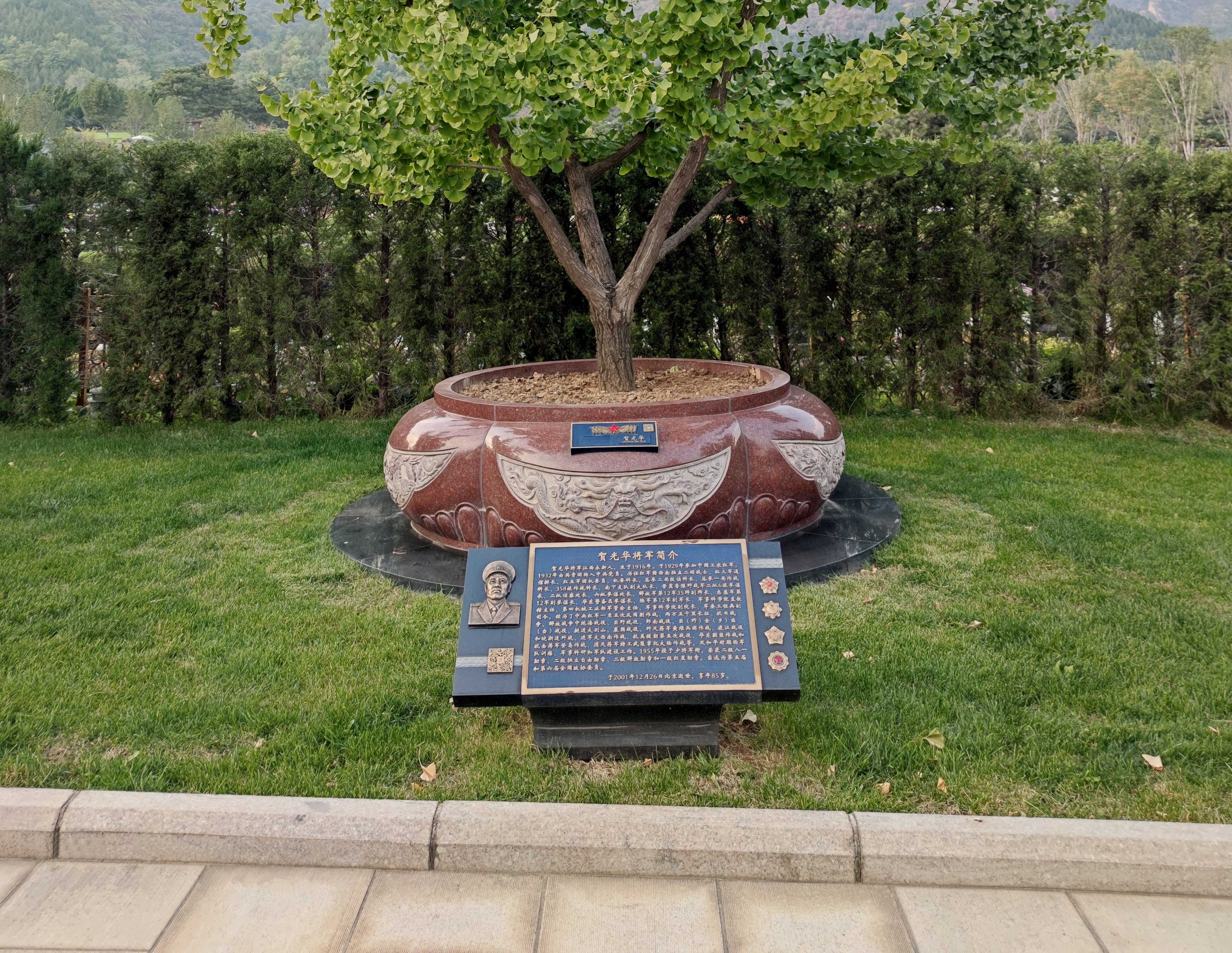 贺光华将军安息之地：九龙坛树葬