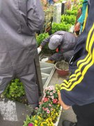 【利来国际app人别样清明】2018年清明落葬工作圆满完成