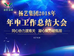 利来国际app集团2018年中总结报告（摘要）