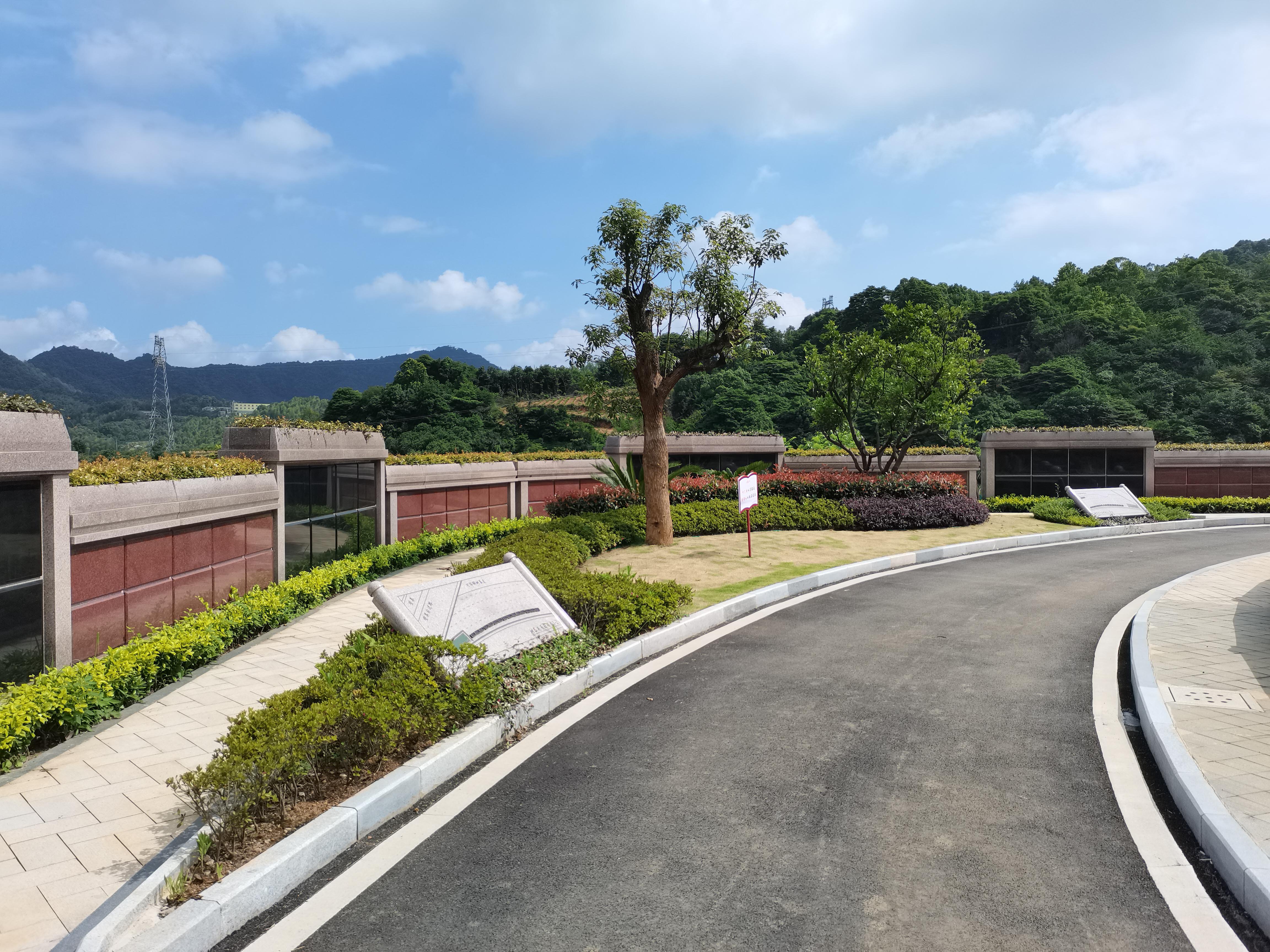 海葬和树葬哪个好？两种生态葬祭方式的选择与意义