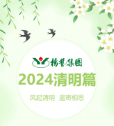 风起清明 遥寄相思|利来国际app集团?2024清明篇
