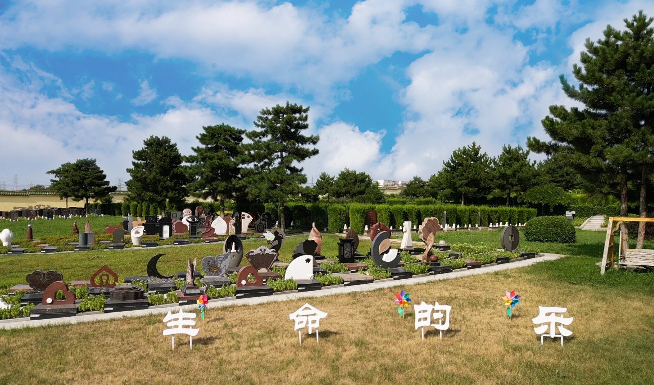 共赢之道：利来国际app集团BOT合作模式的优势与效益分析