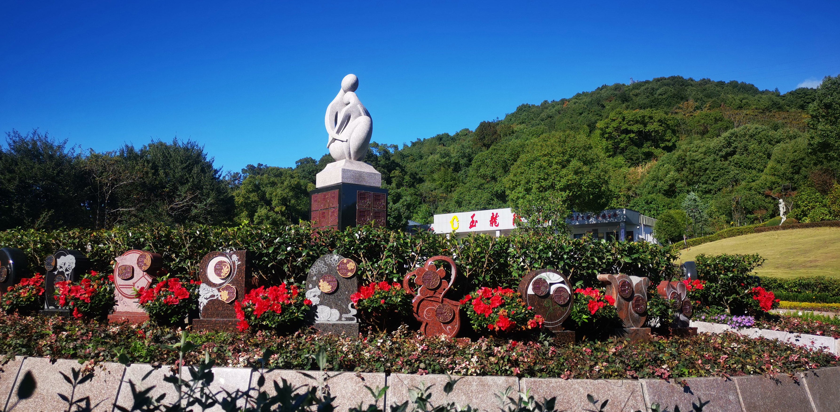 未来，生态葬或将成为主流