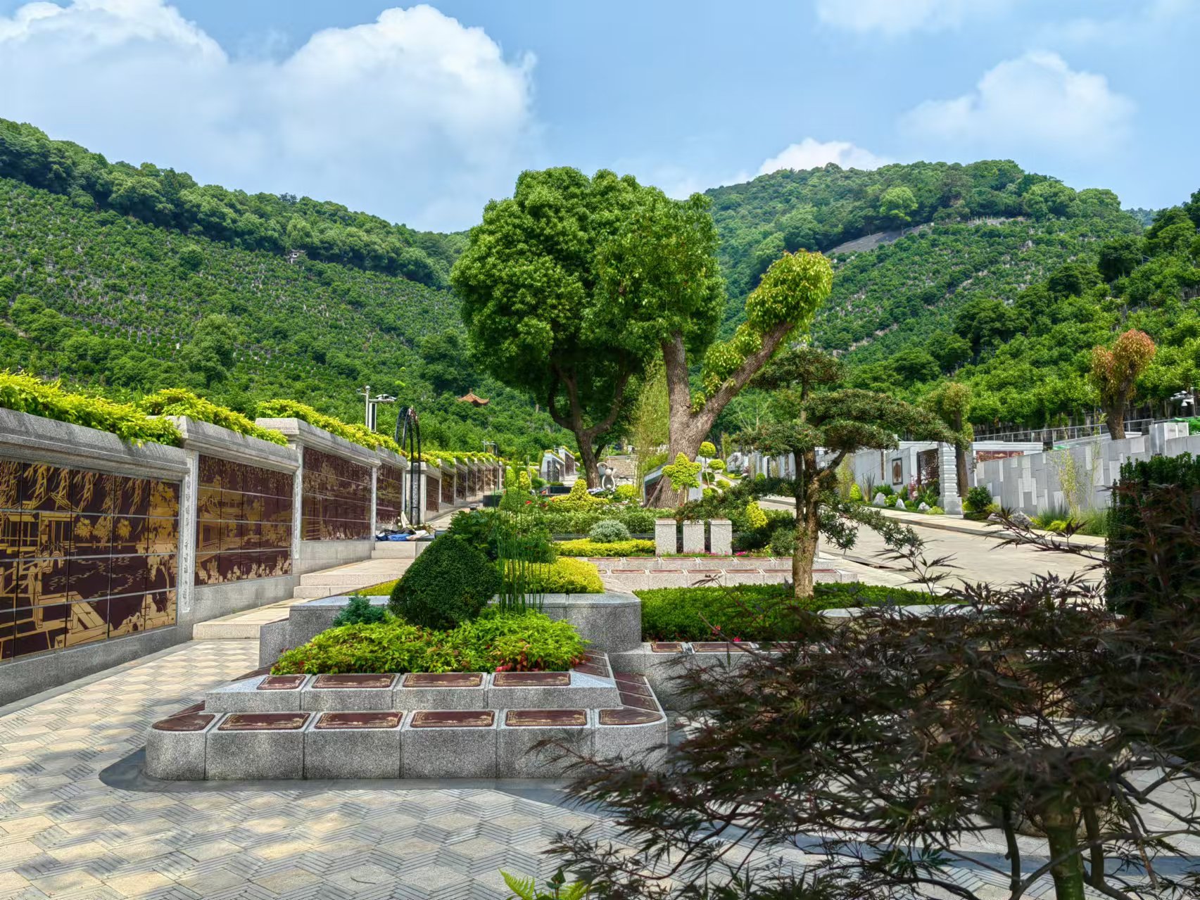 引领绿色生态新风尚，共筑生命和谐家园