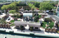 方寸之间，艺术与自然共舞