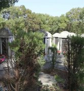 绿色生态葬：文明赓续的绿色选择